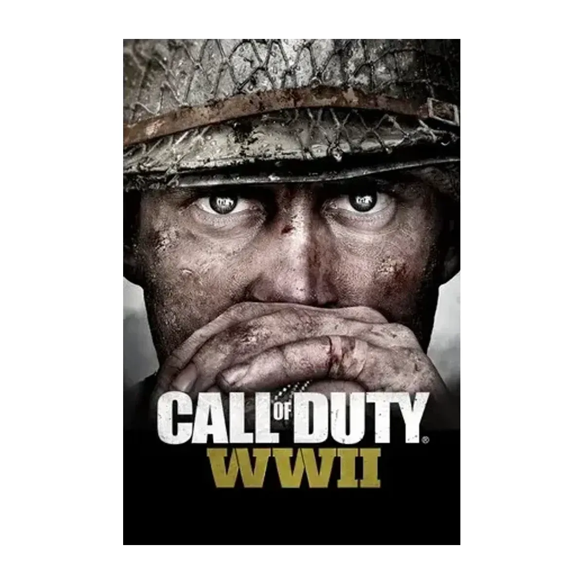 PS4 COD WW2 Price in Kenya price in Kenya — iTey Store