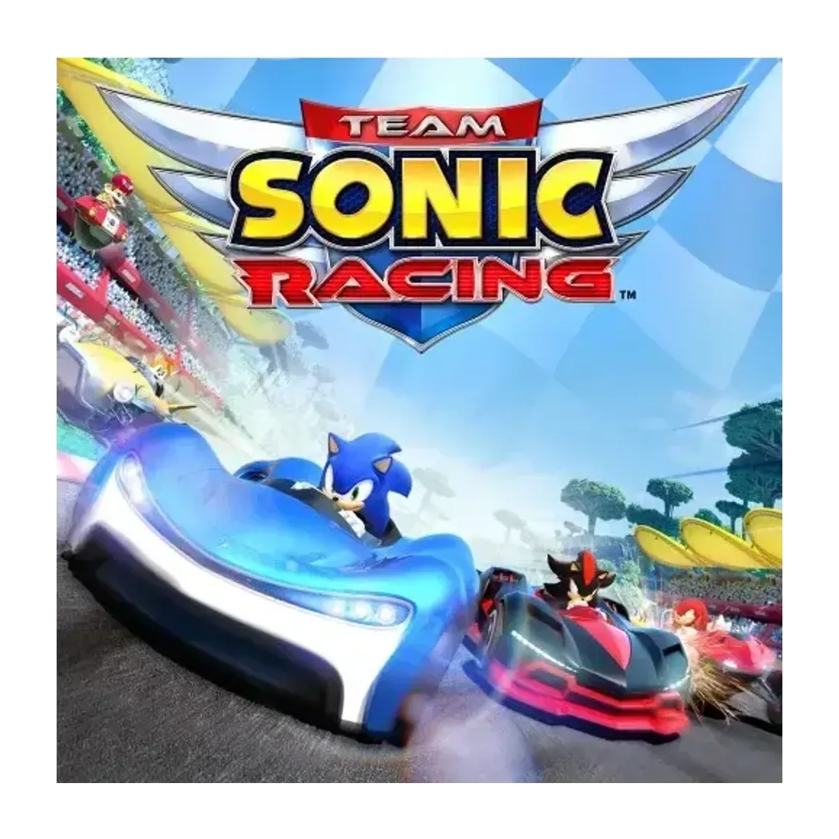 Nintendo Sonic Team Racing Price in Kenya price in Kenya — iTey Store